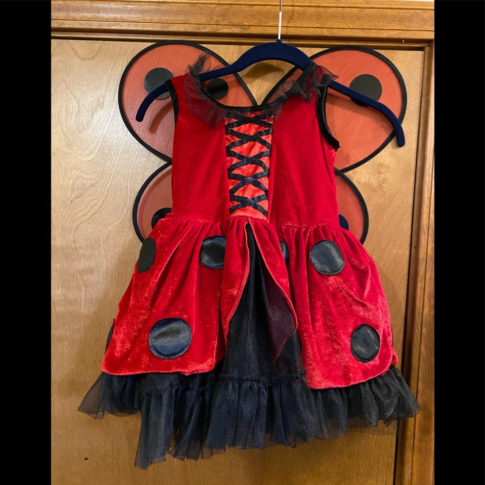 SOLD. Halloween costume little girl 5T - Picture 1 of 3